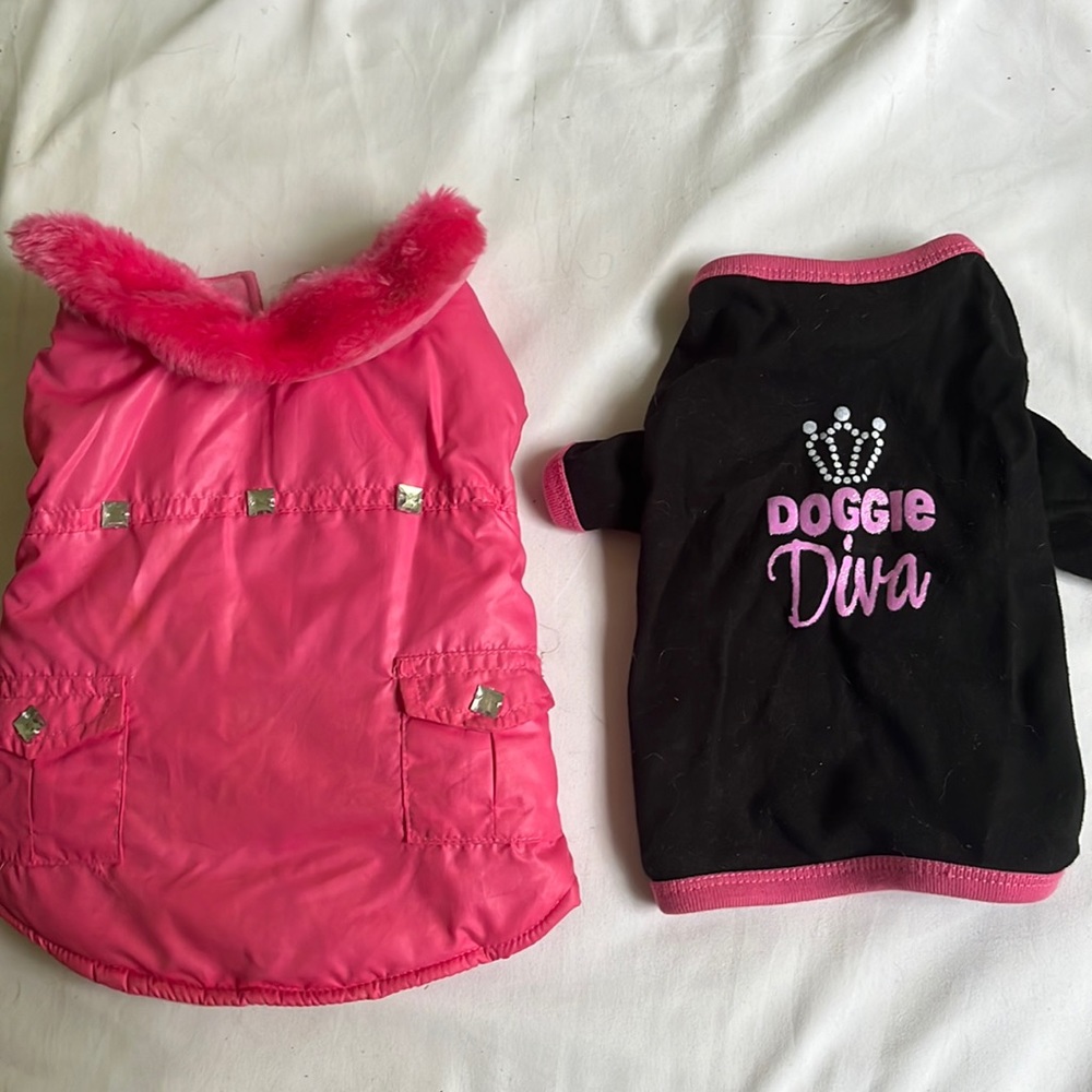 Doggie Diva T and Coat